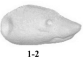 Marten head 1-1 (3,1 cm)