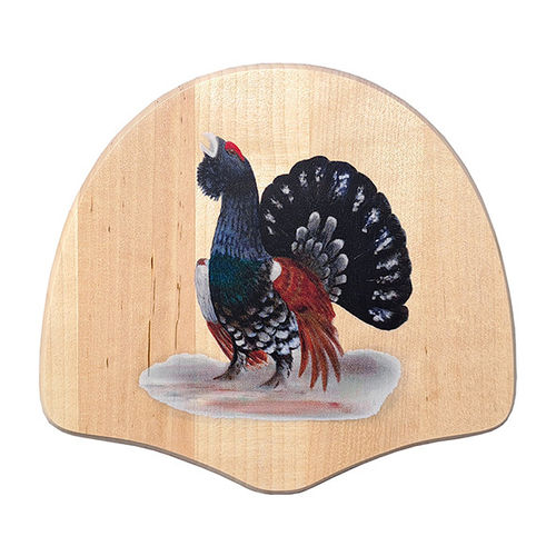 Capercaillie tail display kit
