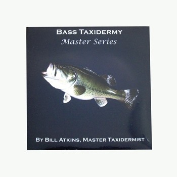 Bass taxidermy
