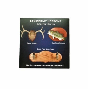Taxidermy lessons