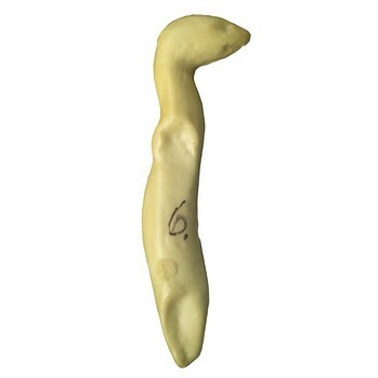 Weasel 5-148, 21 cm