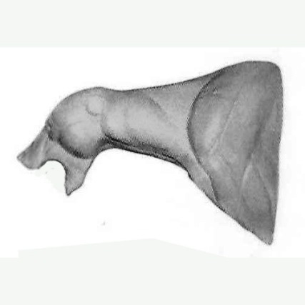 Karhun rintapotretti (15 cm)