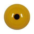 Goldeneye male, 9 mm