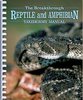 Reptile and  Amphibian taxidermy
