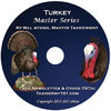Turkey taxidermy
